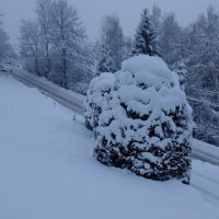 SAMSUNG CAMERA PICTURES