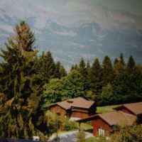 Manèges et Paddocks