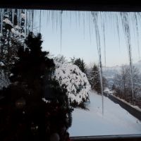 SAMSUNG CAMERA PICTURES